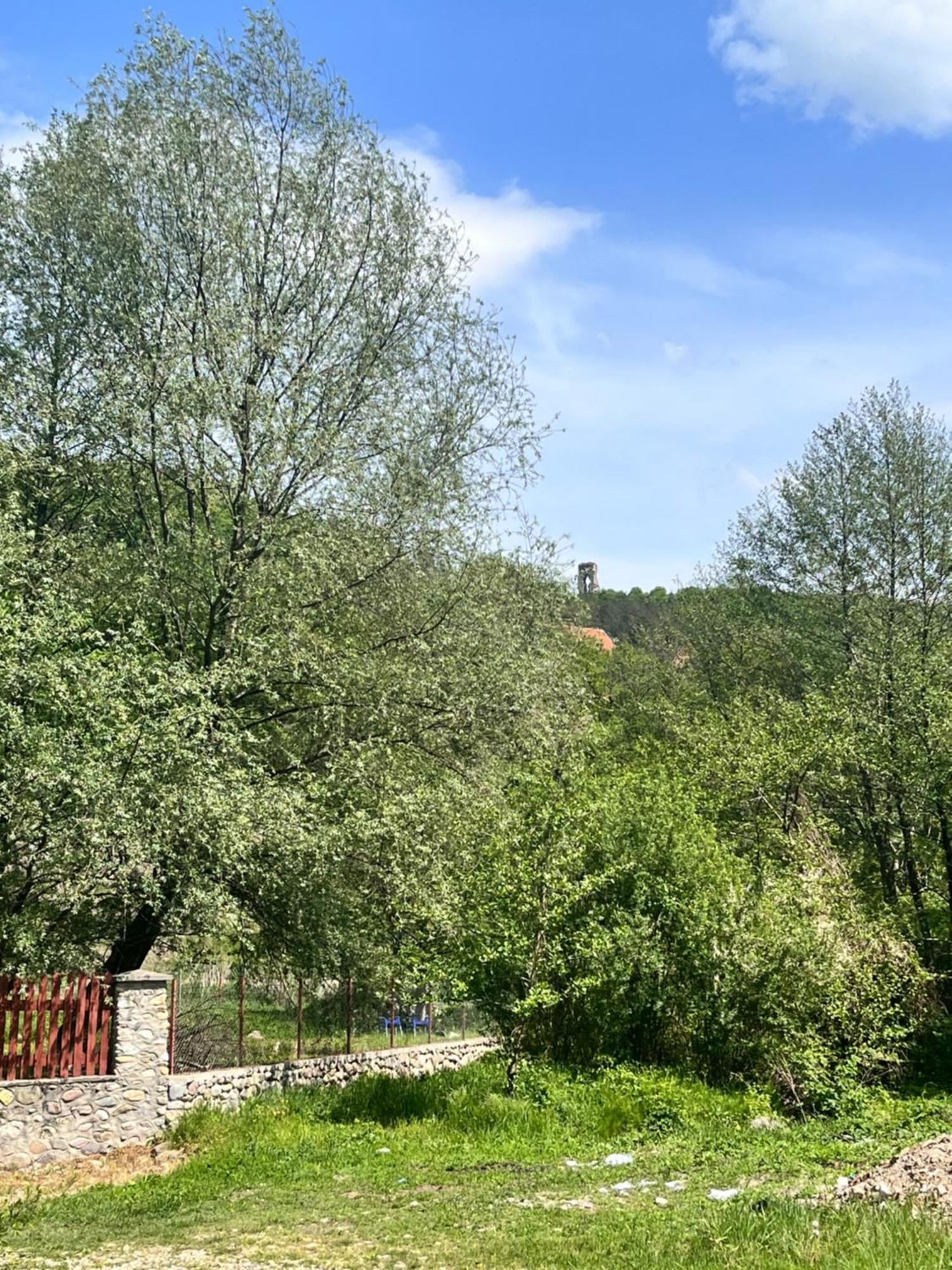 La Gradina Hotel Mehadia Exterior foto