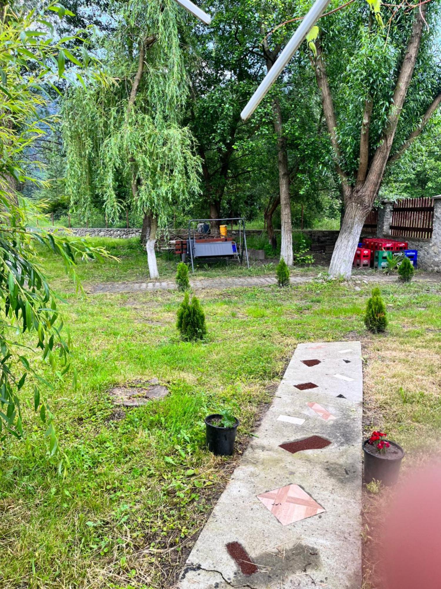 La Gradina Hotel Mehadia Exterior foto